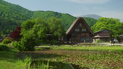 establishing a triangle-shaped house and a lake with lotto flowers in shirakawago japan in daylight