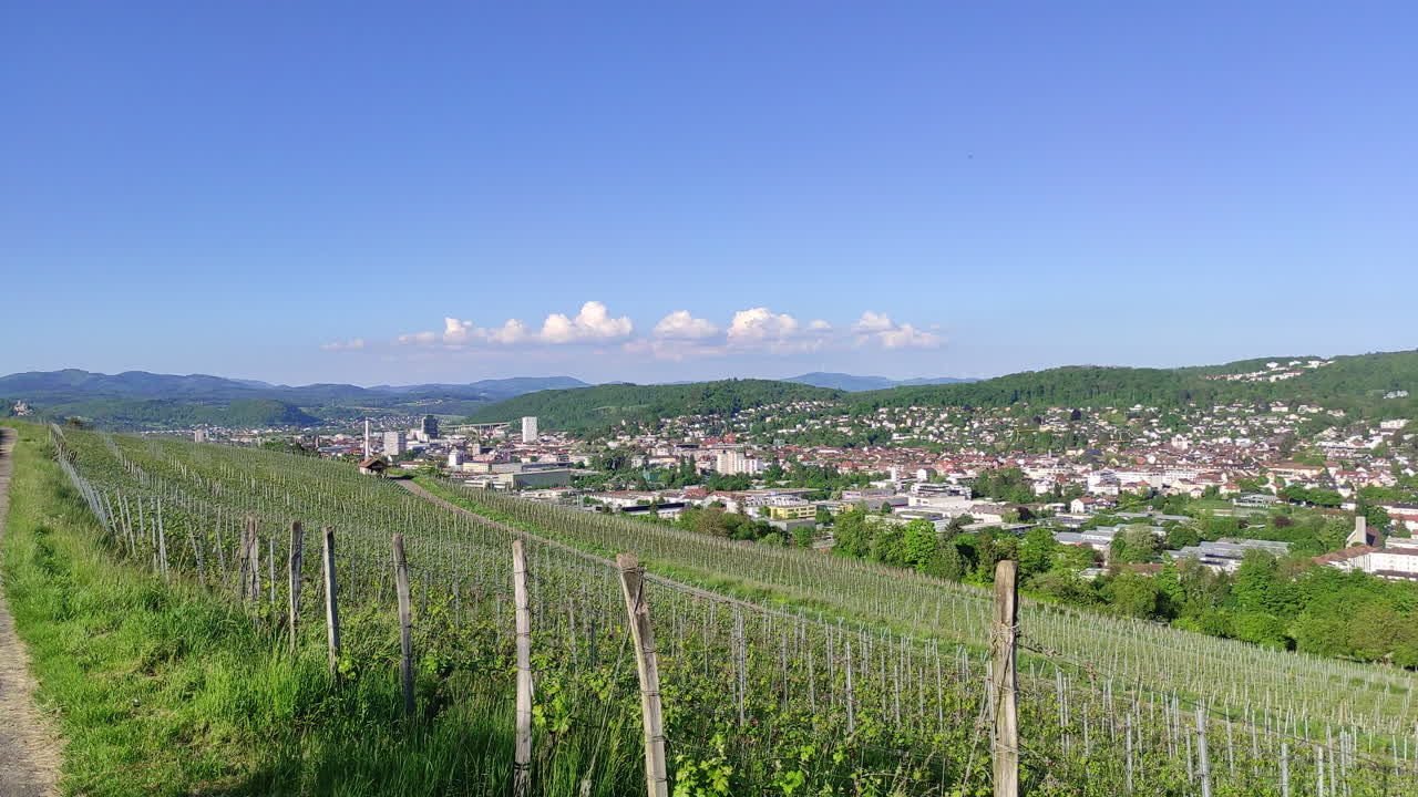 Vineyards overlooking the city of Loerrach, Germany. Wide panning shot.