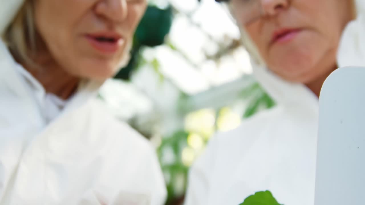 잎을 연구하는 여성 과학자