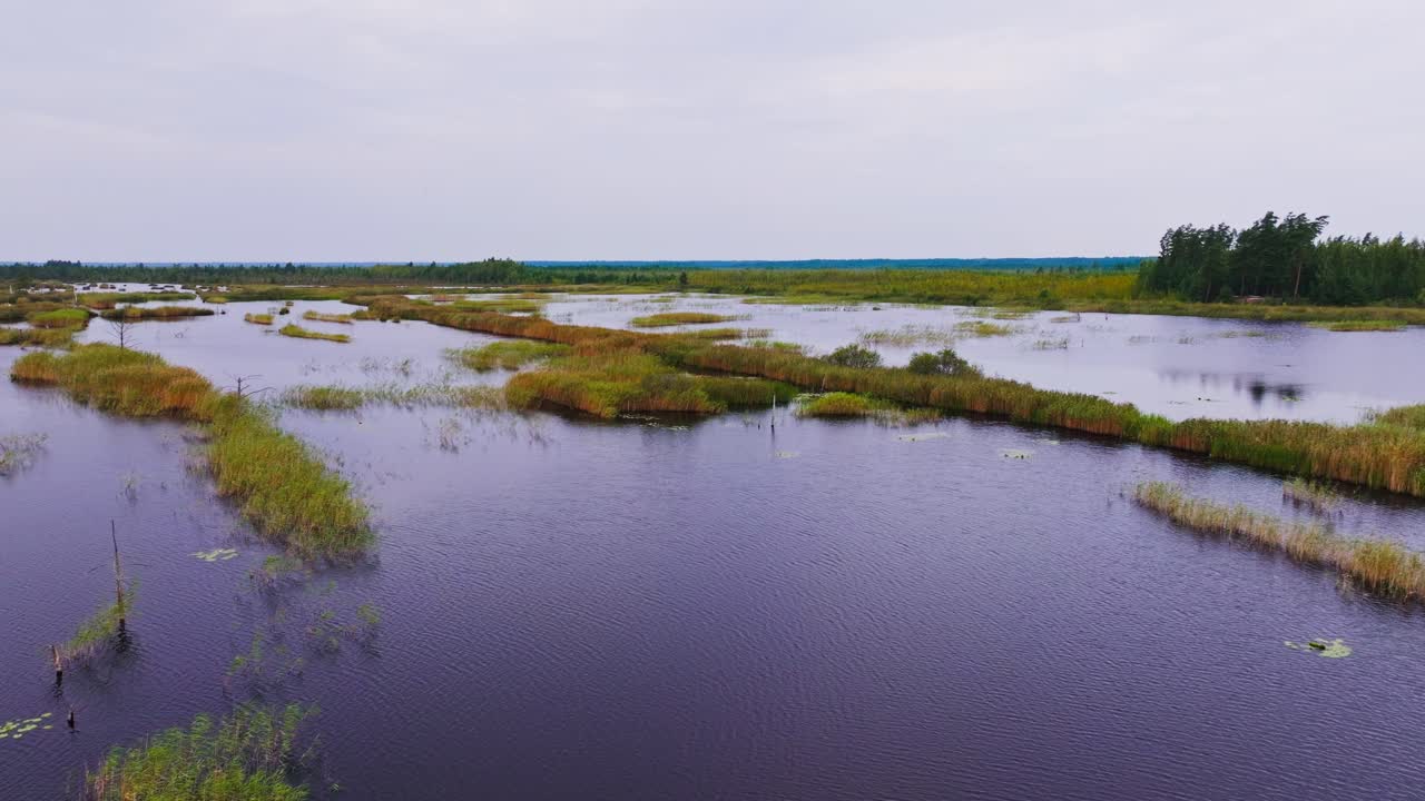 Cinematic backward aerial over wetland lakes in Kemeri National Park Latvia view