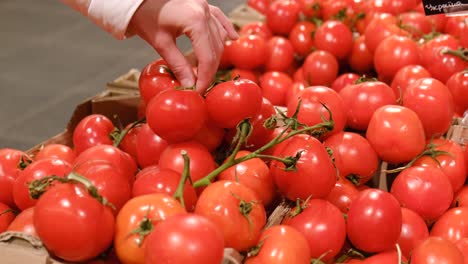 vegan girl buys tomatoes in the supermarket, natural products, slow motion