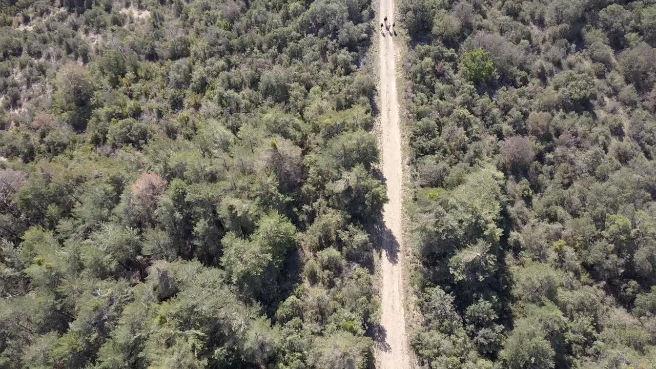 excursionistas caminando por un sendero en un día soleado en españa