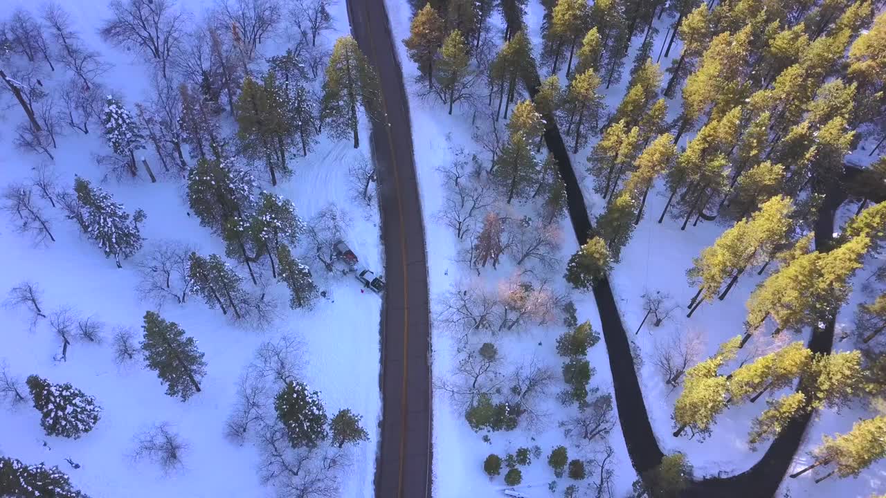aéreo, bosque mixto, de arriba hacia abajo, en una noche de invierno malhumorada, en california, estados unidos, elevándose sobre árboles nevados, coche que viaja por la carretera, vista de pájaro, en una noche de invierno oscura y malhumorada