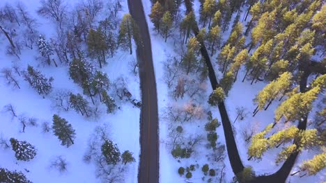 aerial, birds-eye, top down, drone shot, rising over snowy trees, car traveling on road, mixed forest, on a dark, moody winter evening, in california, usa