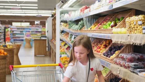 little girl shopping for groceries