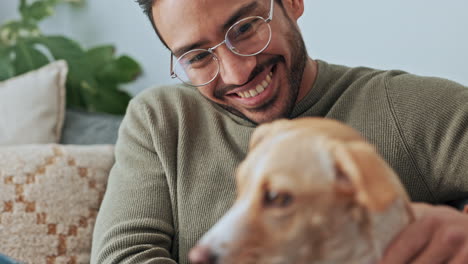 Happy-man-stroke-with-dog-on-sofa-in-home-living