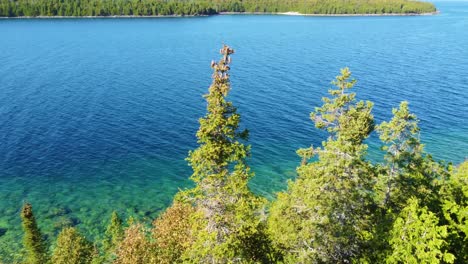 Crystal-clear-water-surrounded-by-vegetation-and-green-trees