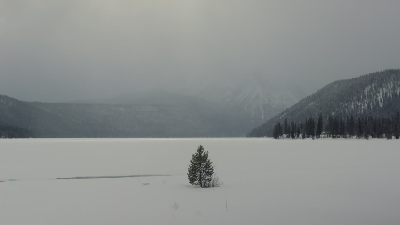 árbol solitario frente a una enorme naturaleza congelada con montañas a lo lejos