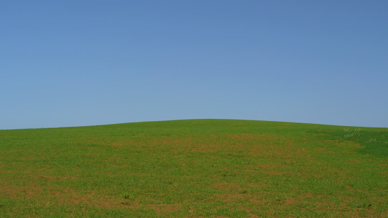 푸른 하늘과 나무가 배경과 산에 뿌려진 아름다운 녹색 들판
