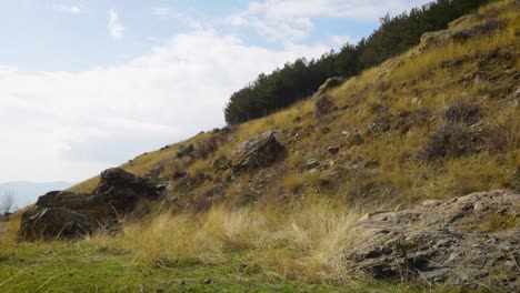 green mountain slope near the town of sopot, bulgaria