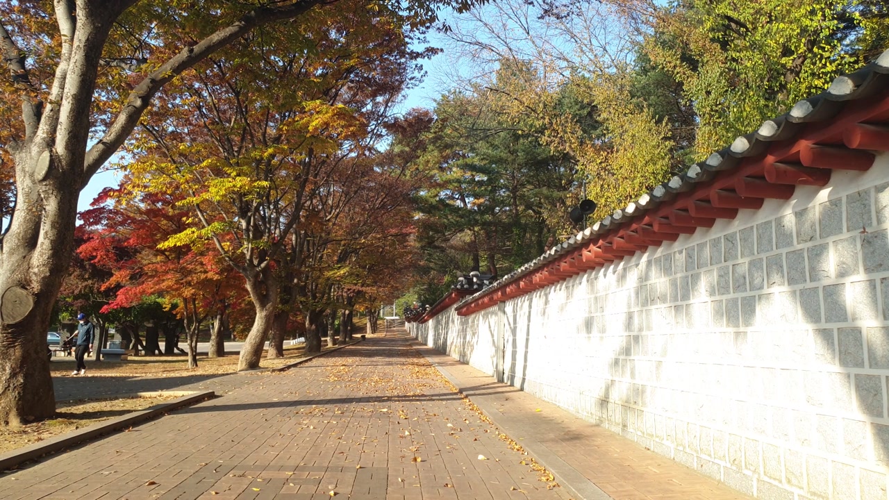 Tranquil autumn walkway with vibrant foliage beside a traditional tiled stone wall in South Africa. A serene, peaceful setting perfect for a reflective stroll under soft daylight.