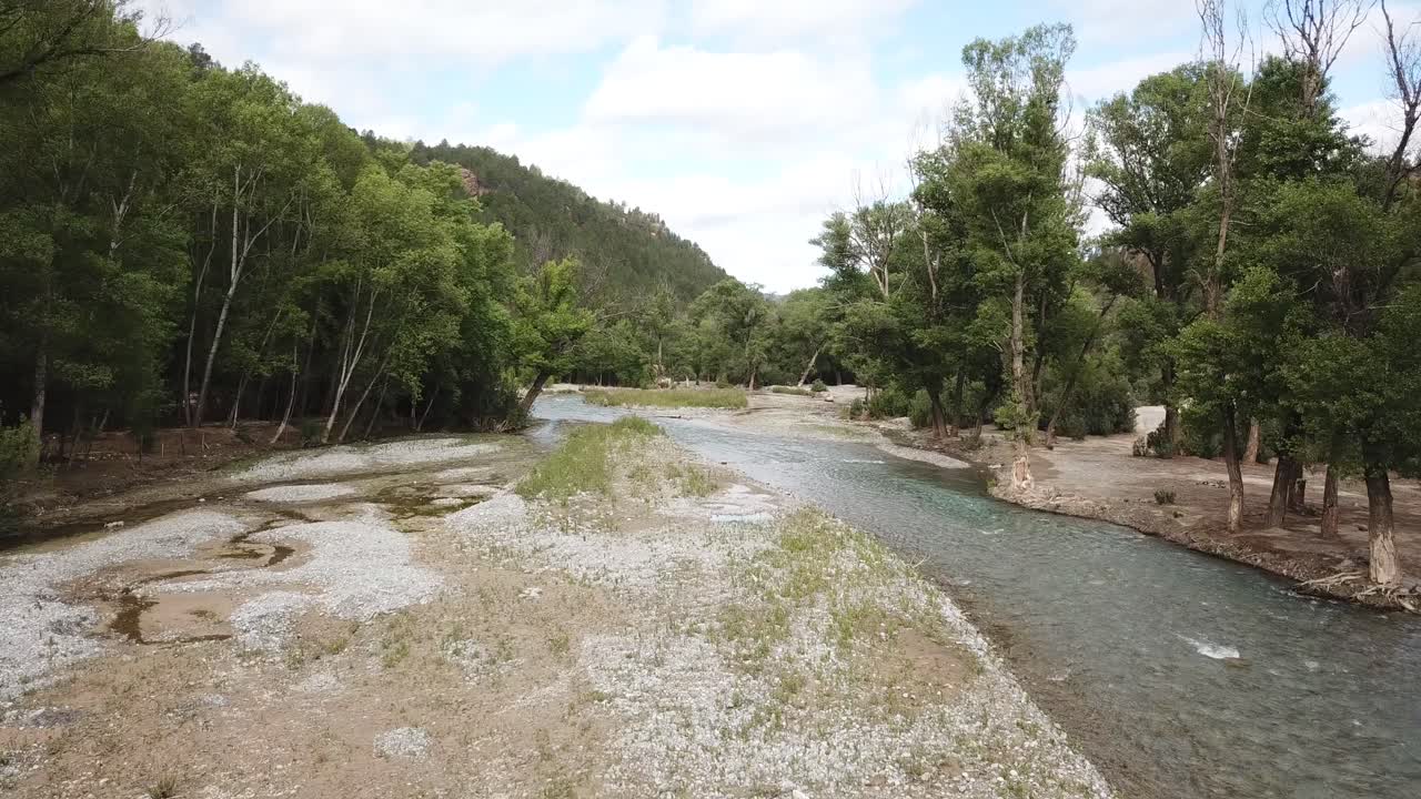 A crystal-clear stream winds through dense cedar and oak forests in Morocco's Middle Atlas, creating a lush green corridor where ancient trees form natural canopies over the flowing waters