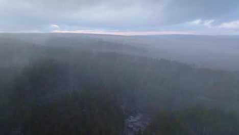 Luftdrohne-Vorwärts-Bewegende-Aufnahme-über-Schneebedecktem-Nadelwald-über-Hügeligem-Gelände-An-Einem-Nebligen-Wintertag