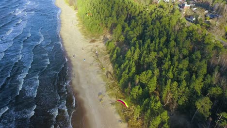 Aerial-view-of-parasailers-and-tourists-on-beach-with-calm-waves-reaching-the-shore,-sunny-day