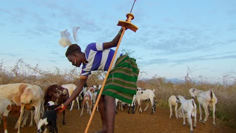 cattle farmer herding his goats in uganda, africa - wide shot