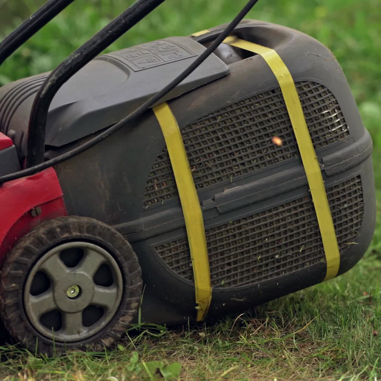 Close-up of mowing the lawn. Female Mowing Lawn in Suburbs.