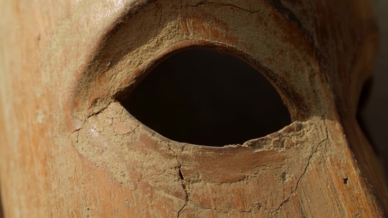 Detailed close-up reveals uneven bark layers, deep cavity and earthy tones as viewpoint shifts across aged wood surface, highlighting cracks, texture, shadows and rugged organic patterns.