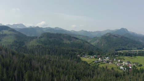 Alpine-Forest-near-the-Village-of-Cyrhla,-Zakopane,-Poland-Aerial