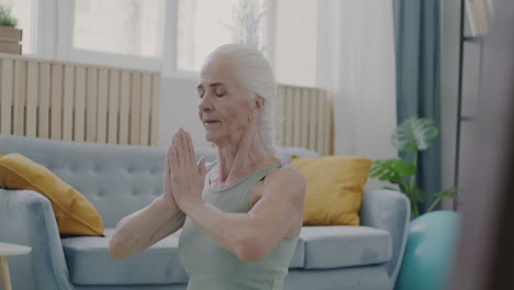 Elderly Woman Practicing Yoga at Home