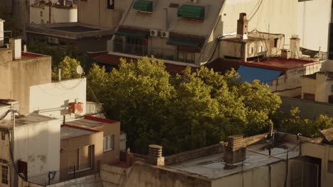 sunlit buenos aires rooftops and lush green trees in an urban neighborhood during golden hour