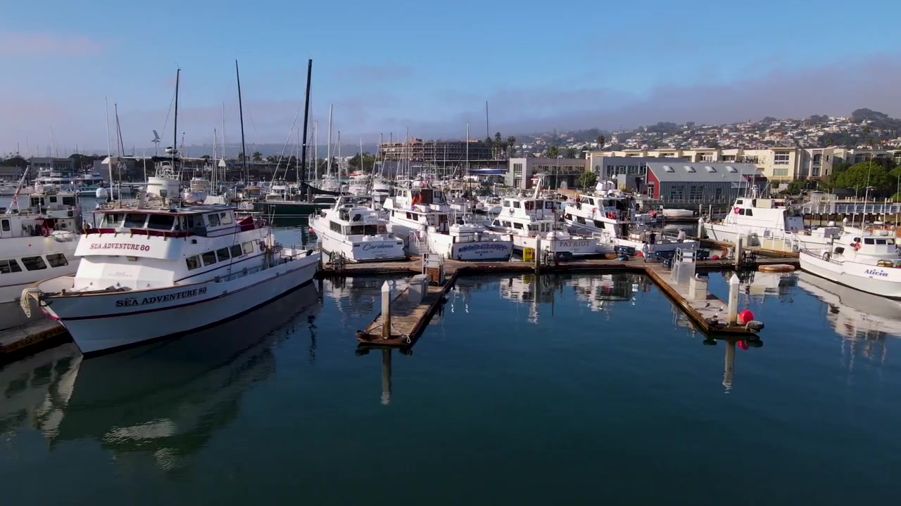 Vista aerea di barche da pesca sportiva nella Baia di San Diego.
