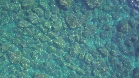 lecho marino transparente claro en un día soleado