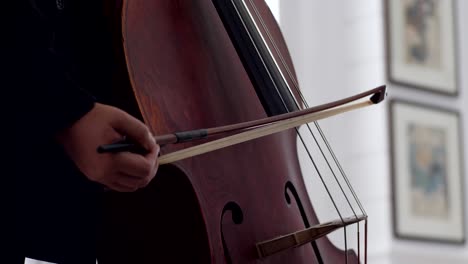 close-up of strings of a cello vibrating as the cellist pulls her bow