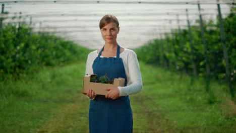 gardener lady holding box with orchard cherry at green house. harvest concept.