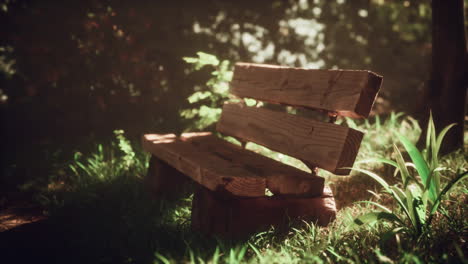 banco de madera en un bosque