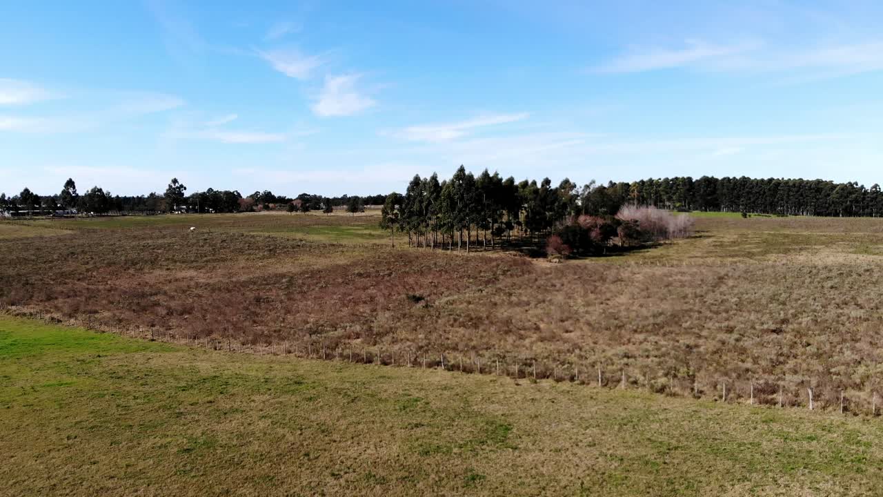 vista aerea del campo un dia soleado ubicado en canelones uruguay