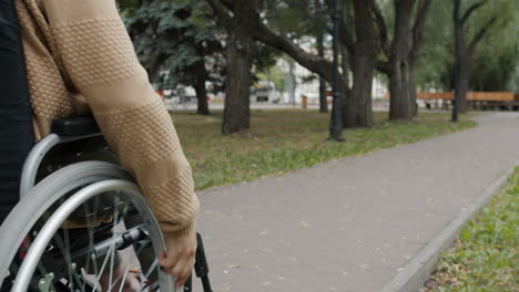 person in wheelchair in park