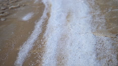 -Dead-Sea-Israel-coastline-shore-salt-saltiness-coast-shoreline