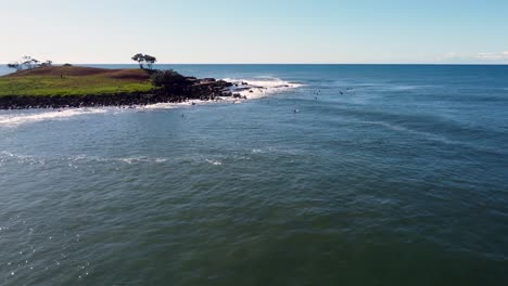 Drone-Aéreo-Pan-Shot-Yamba-Angourie-Isla-Navegar-Océano-Pacífico-Surfistas-Esperando-En-Fila-Playa-Arrecife-Viajes-Turismo-Costa-Norte-Nsw-Australia