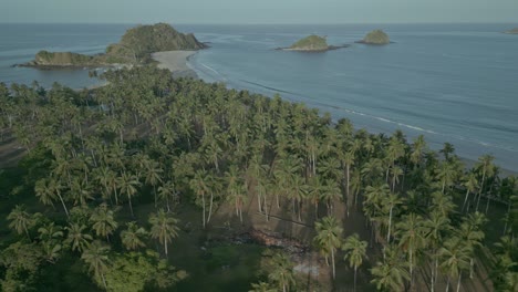 Palm-trees-and-sand-beaches-by-open-ocean-in-Philippines,-aerial-pan