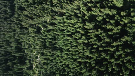 Vertical-Aerial-view