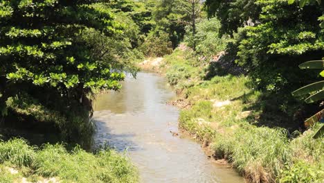 ribera silvestre y parcialmente destruida con basura no biodegradable y vegetación afectada debido a inundaciones e inundaciones