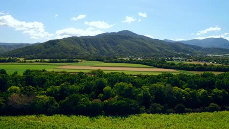 vibrant agricultural fields and mountains in cairns, queensland, australia at daytime - aerial drone shot