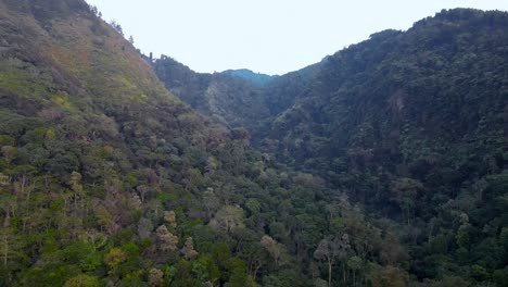 Cinematic-drone-shot-of-dense-forest-landscape-against-blue-sky-in-Indonesian-mountains