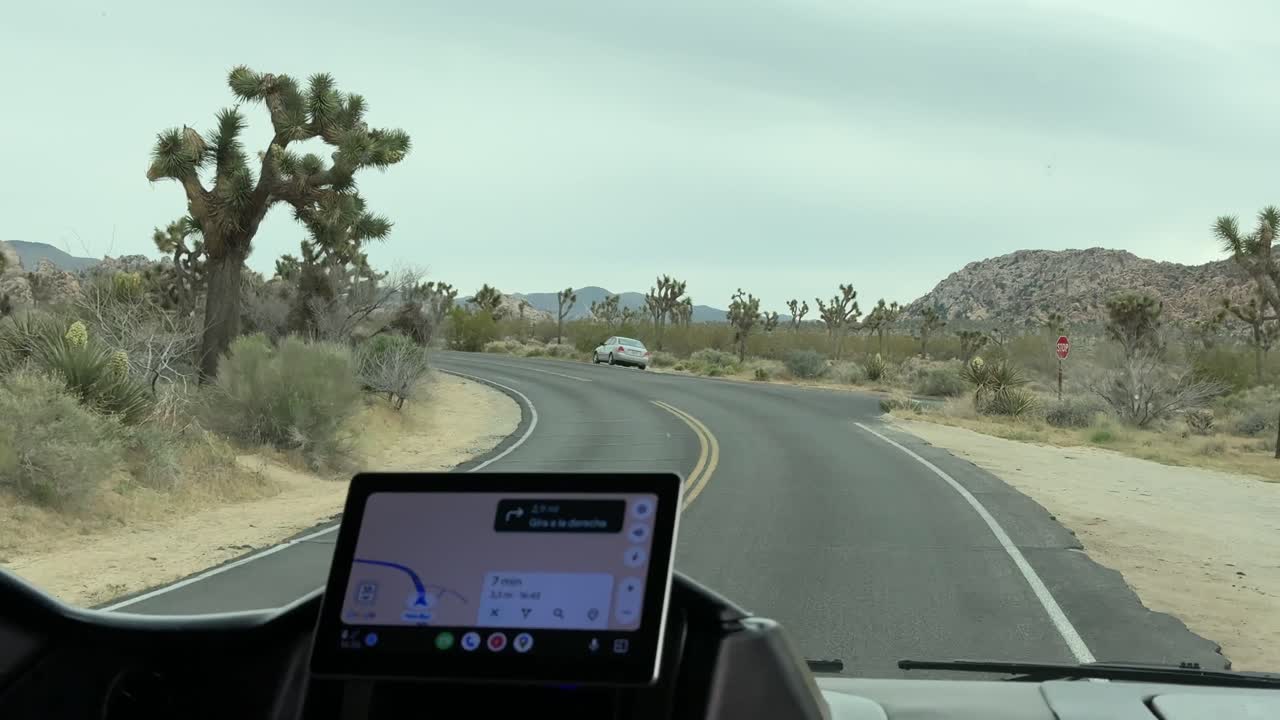 Joshua Tree Milli Parkı Çöl Manzaralarında Araba Sürmek