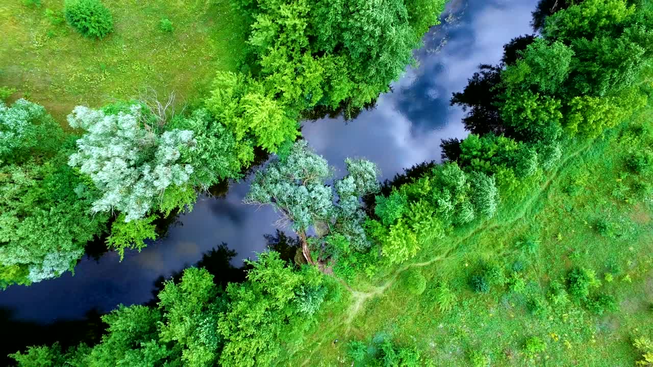Drone flight over the river through green trees.