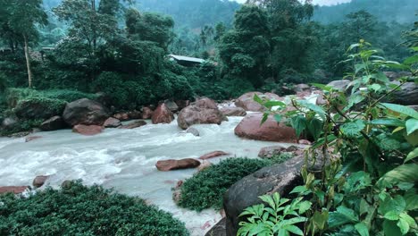 jhalong river, kalimpong, india - located near neora valley national park popular for tourist for nature walk, trekking, weekend activity and wilderness resorts