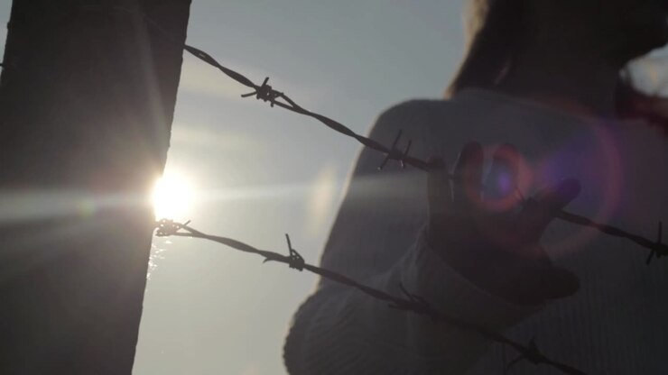 Trapped behind barbed wire fence as sun falls