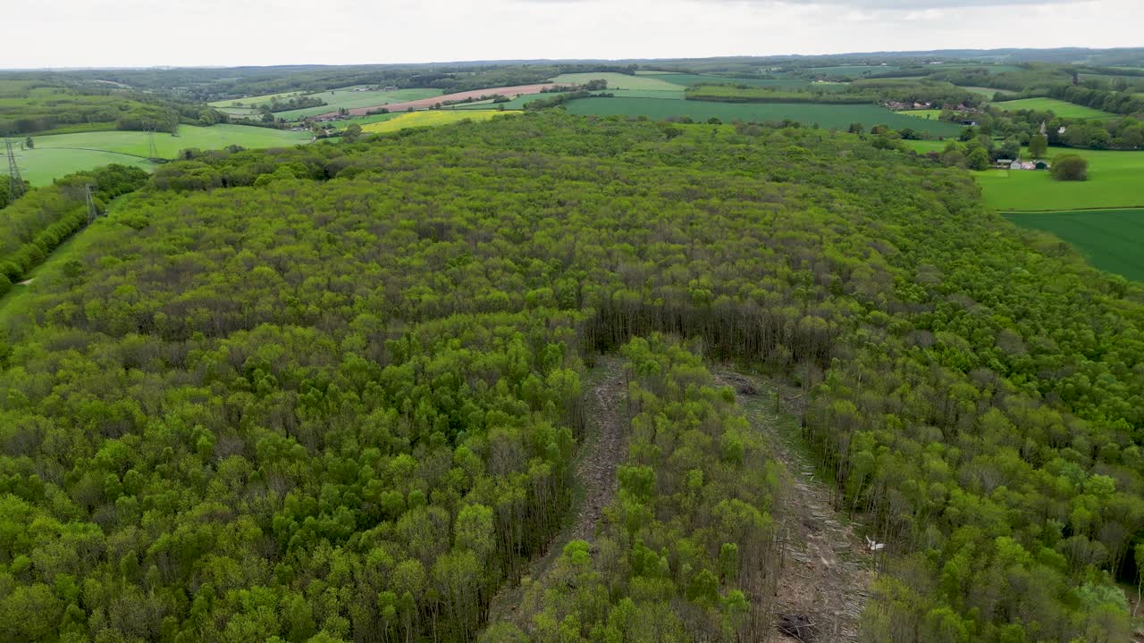 Drone pan right from high altitude over a woodland area in England