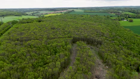 drone pan right from high altitude over a woodland area in england