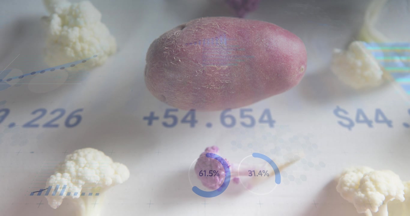 Cuando se cargan las superposiciones, análisis translúcidos se superponen sobre una patata roja, visualizando la calidad y el precio