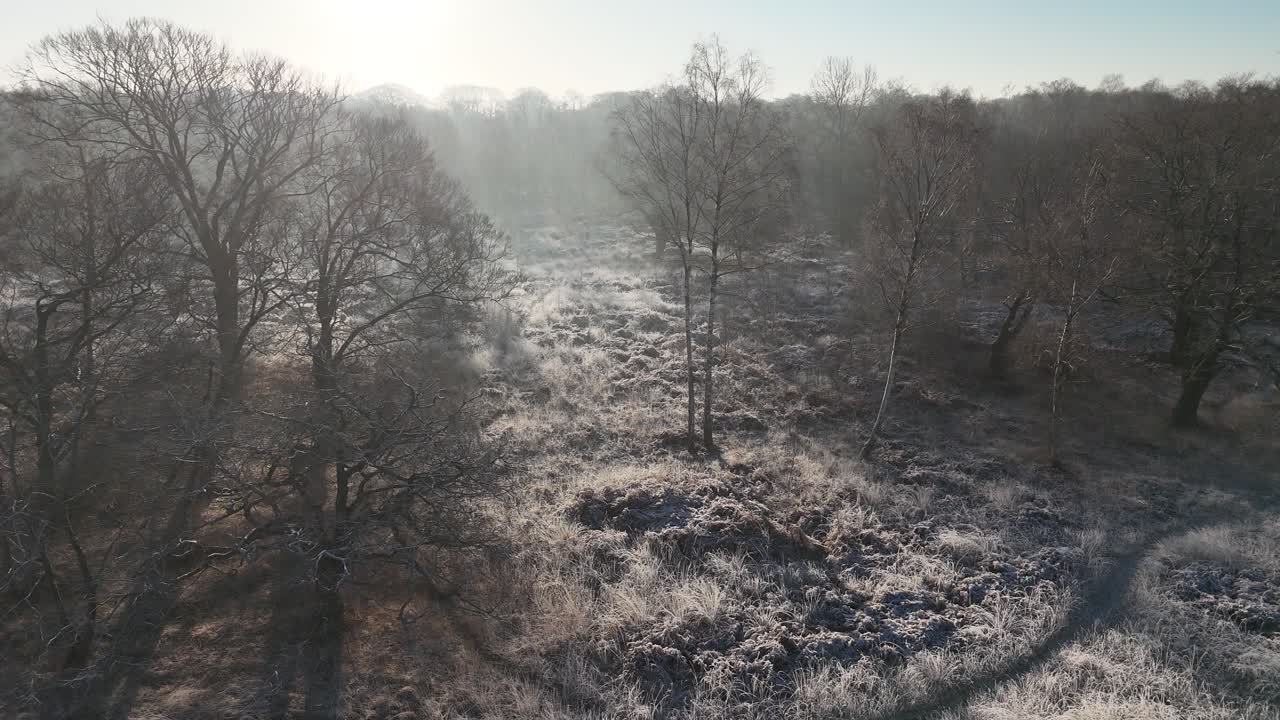 Misty winters day in Epping forest frosty ground low aerial pan