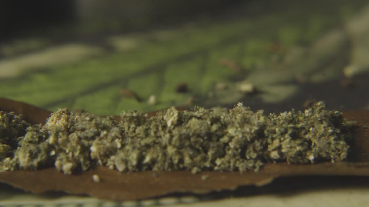 a black mans hand breaking up marijuana budss onto a hemp wrapper to prepare to roll a blunt