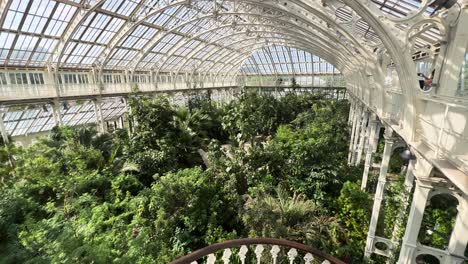 inside botanic gardens dome staircase