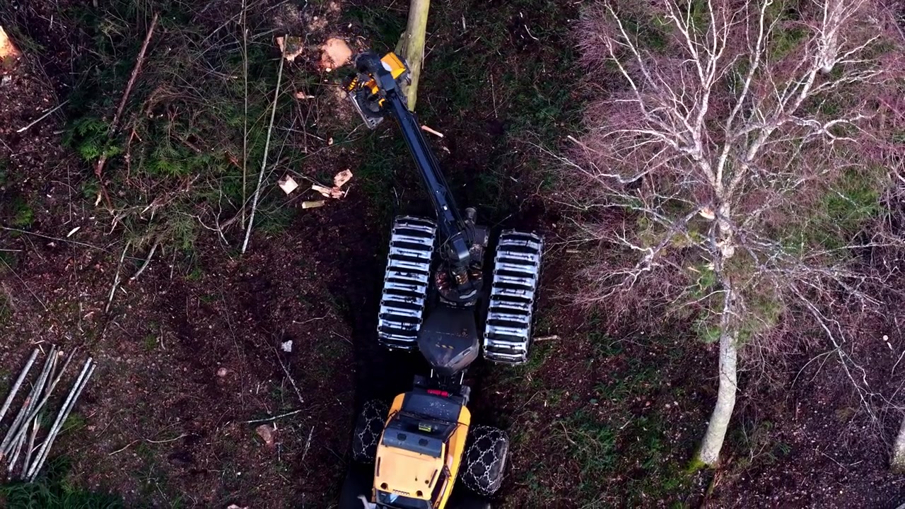 Máquina colhedora florestal derrubando árvores e processando madeira em uma floresta, em vista aérea superior.