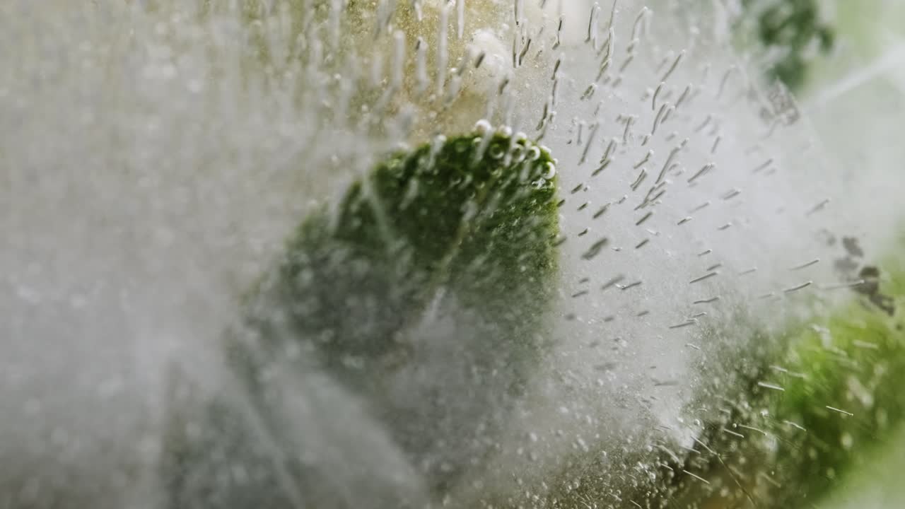 추상적인 얼어붙은 꽃의 매크로